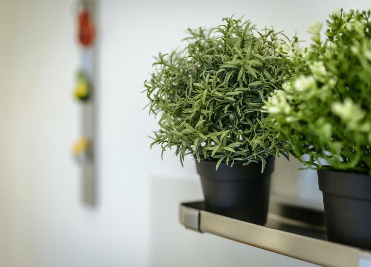 Art View Luxury Apartment Μπάρι Εξωτερικό φωτογραφία